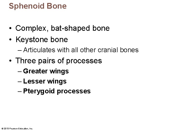 Sphenoid Bone • Complex, bat-shaped bone • Keystone bone – Articulates with all other