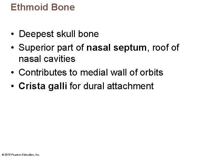 Ethmoid Bone • Deepest skull bone • Superior part of nasal septum, roof of