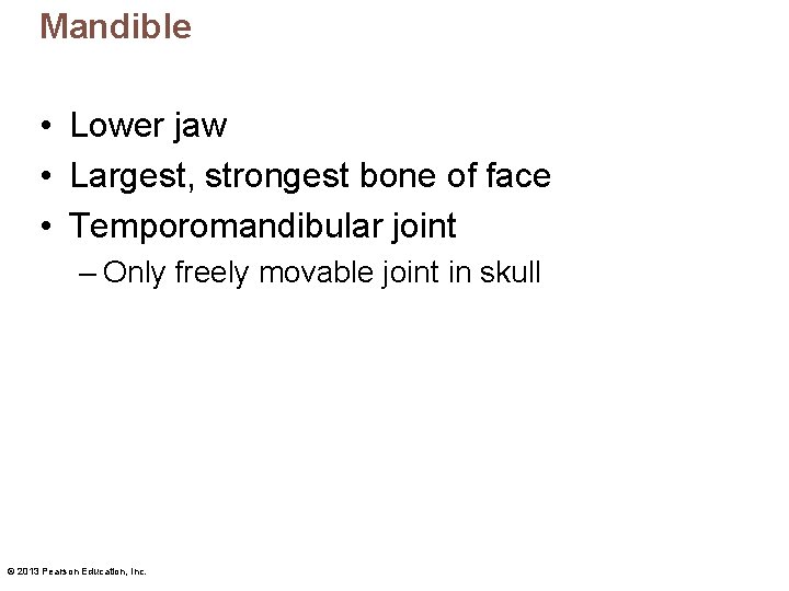 Mandible • Lower jaw • Largest, strongest bone of face • Temporomandibular joint –