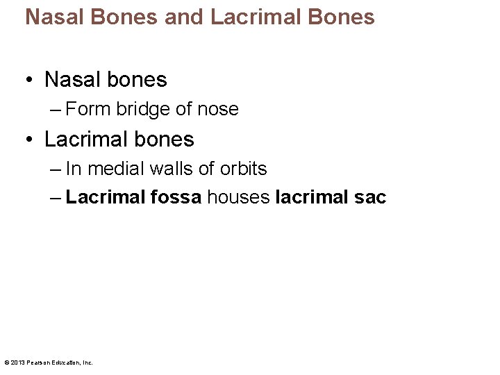 Nasal Bones and Lacrimal Bones • Nasal bones – Form bridge of nose •