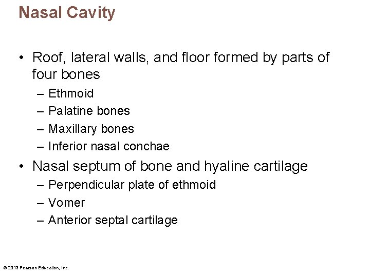 Nasal Cavity • Roof, lateral walls, and floor formed by parts of four bones