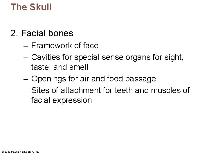 The Skull 2. Facial bones – Framework of face – Cavities for special sense