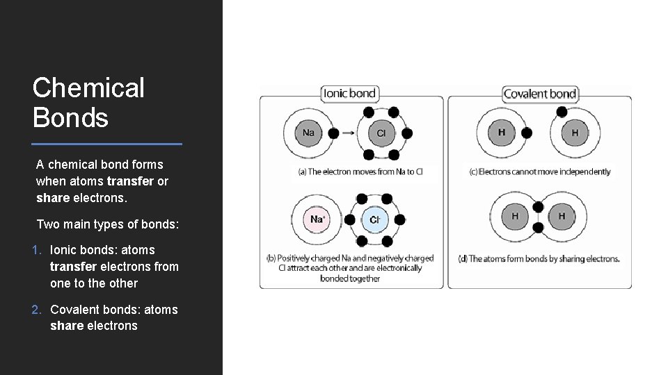 Chemical Bonds A chemical bond forms when atoms transfer or share electrons. Two main Chemical Bonds A chemical bond forms when atoms transfer or share electrons. Two main