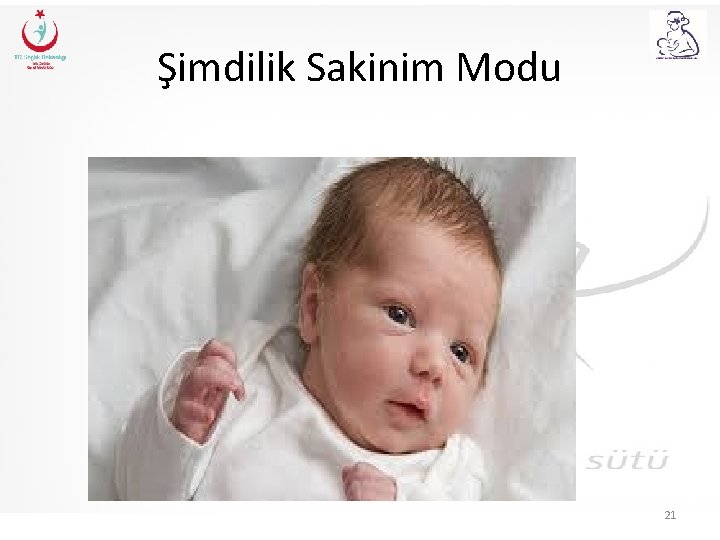 Şimdilik Sakinim Modu 21 