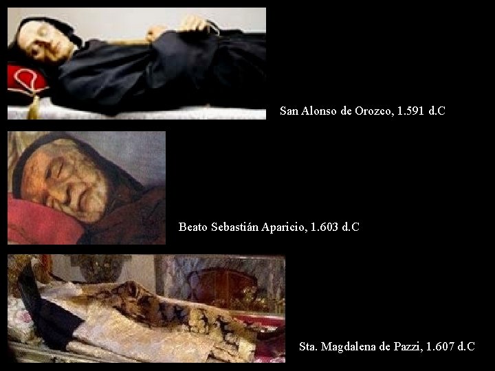 San Alonso de Orozco, 1. 591 d. C Beato Sebastián Aparicio, 1. 603 d.