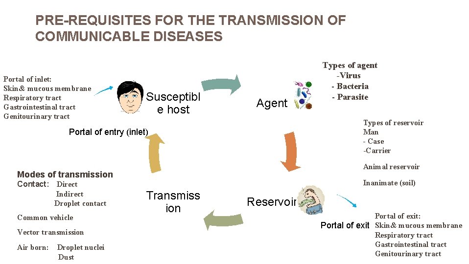PRE-REQUISITES FOR THE TRANSMISSION OF COMMUNICABLE DISEASES Portal of inlet: Skin& mucous membrane Respiratory