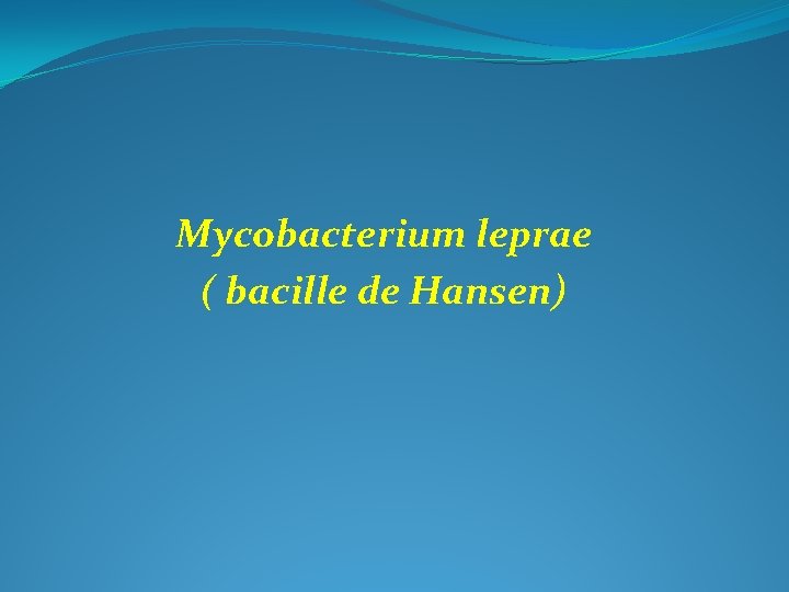 Mycobacterium leprae ( bacille de Hansen) 