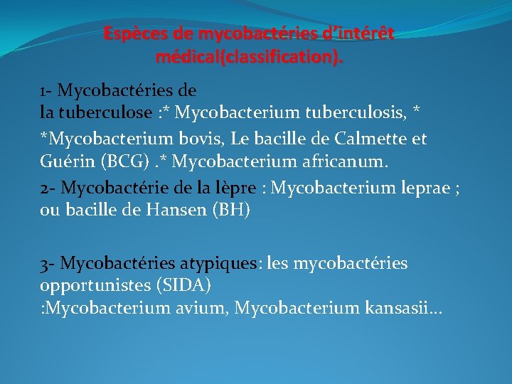 Espèces de mycobactéries d’intérêt médical(classification). 1 - Mycobactéries de la tuberculose : * Mycobacterium