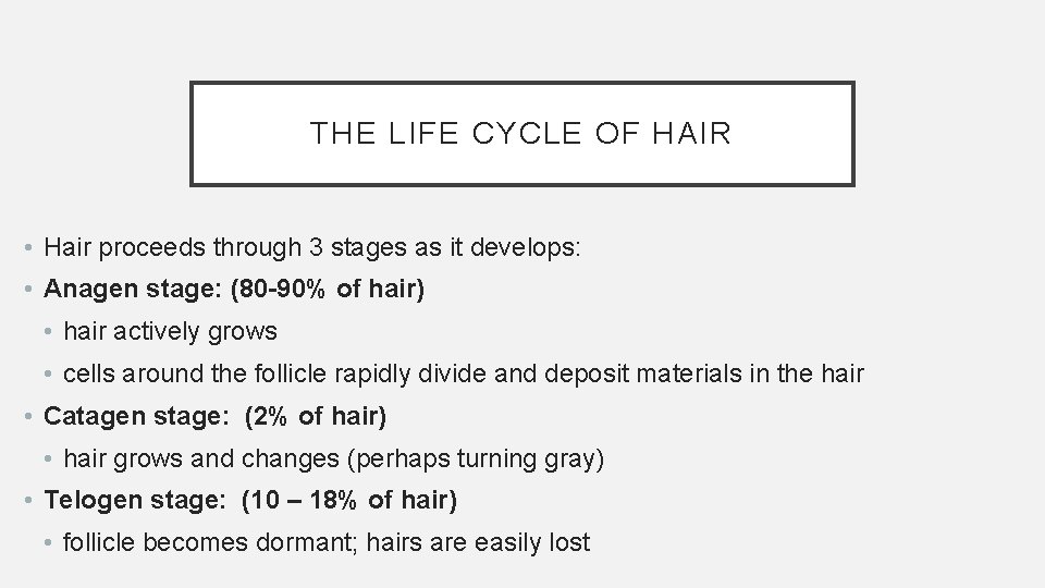 THE LIFE CYCLE OF HAIR • Hair proceeds through 3 stages as it develops: