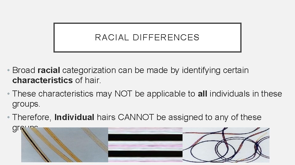 RACIAL DIFFERENCES • Broad racial categorization can be made by identifying certain characteristics of