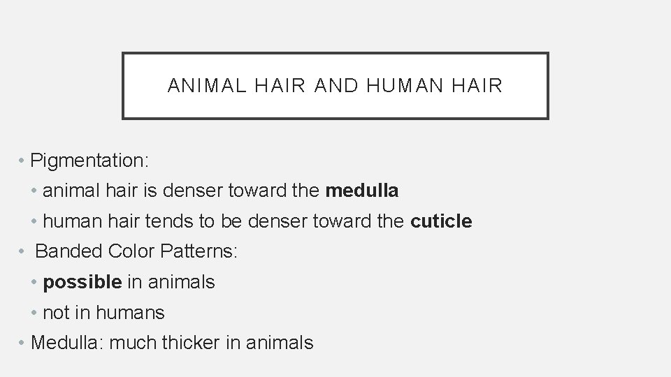 ANIMAL HAIR AND HUMAN HAIR • Pigmentation: • animal hair is denser toward the