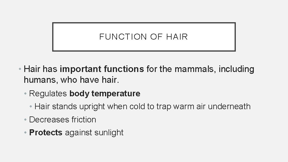 FUNCTION OF HAIR • Hair has important functions for the mammals, including humans, who