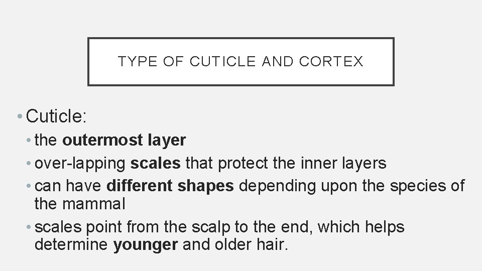 TYPE OF CUTICLE AND CORTEX • Cuticle: • the outermost layer • over-lapping scales