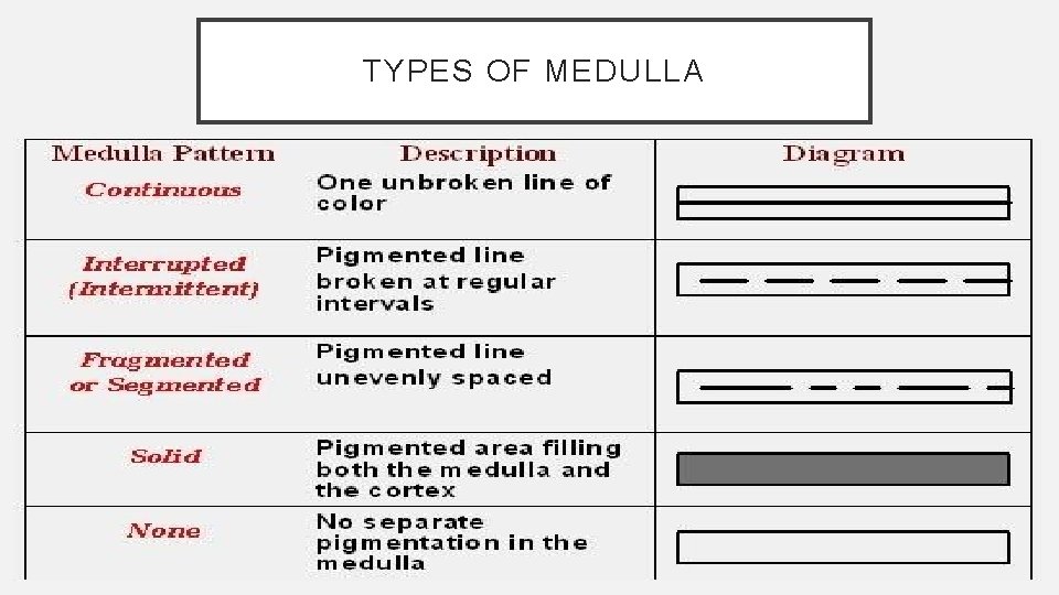 TYPES OF MEDULLA 