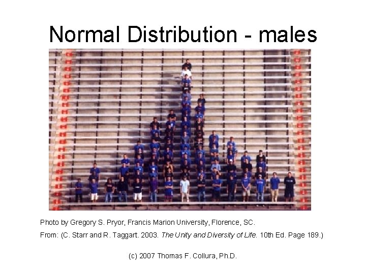 Normal Distribution - males Photo by Gregory S. Pryor, Francis Marion University, Florence, SC.