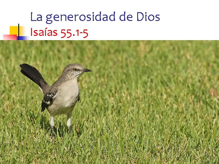 La generosidad de Dios Isaías 55. 1 -5 12 