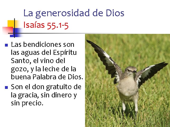 La generosidad de Dios Isaías 55. 1 -5 n n Las bendiciones son las