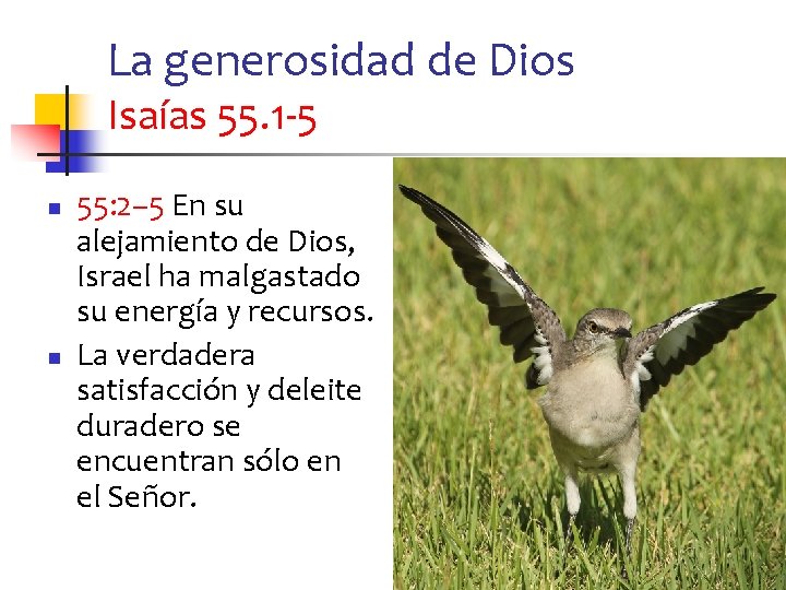 La generosidad de Dios Isaías 55. 1 -5 n n 55: 2– 5 En