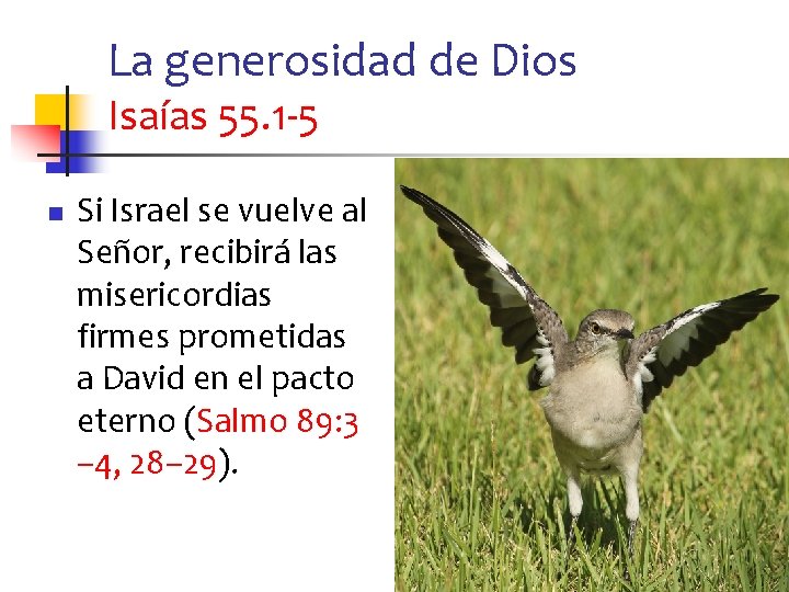 La generosidad de Dios Isaías 55. 1 -5 n Si Israel se vuelve al