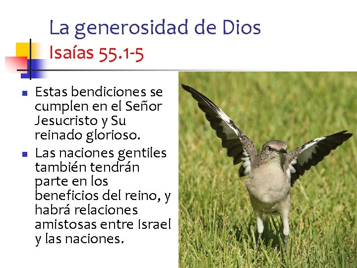 La generosidad de Dios Isaías 55. 1 -5 n n Estas bendiciones se cumplen