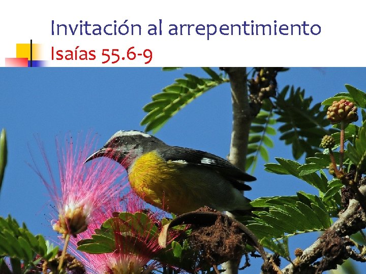 Invitación al arrepentimiento Isaías 55. 6 -9 20 