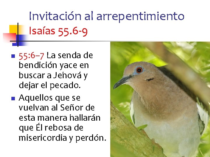 Invitación al arrepentimiento Isaías 55. 6 -9 n n 55: 6– 7 La senda