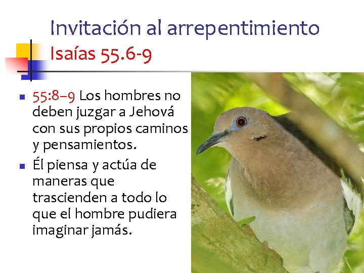 Invitación al arrepentimiento Isaías 55. 6 -9 n n 55: 8– 9 Los hombres