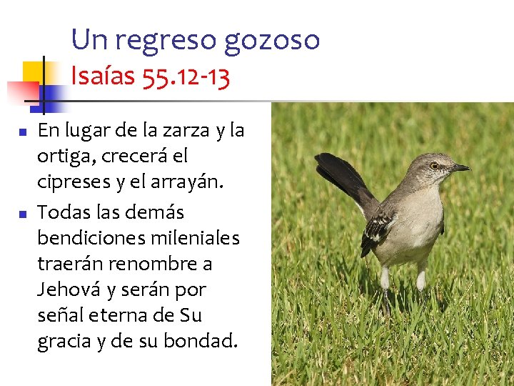 Un regreso gozoso Isaías 55. 12 -13 n n En lugar de la zarza