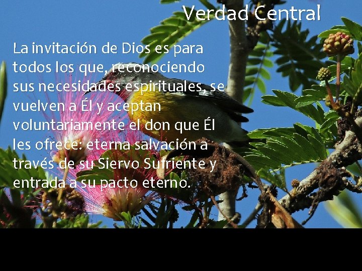 Verdad Central La invitación de Dios es para todos los que, reconociendo sus necesidades