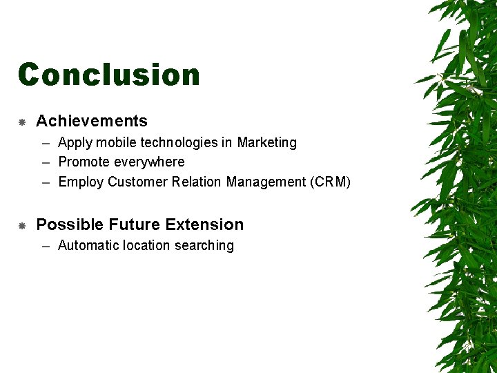 Conclusion Achievements – Apply mobile technologies in Marketing – Promote everywhere – Employ Customer