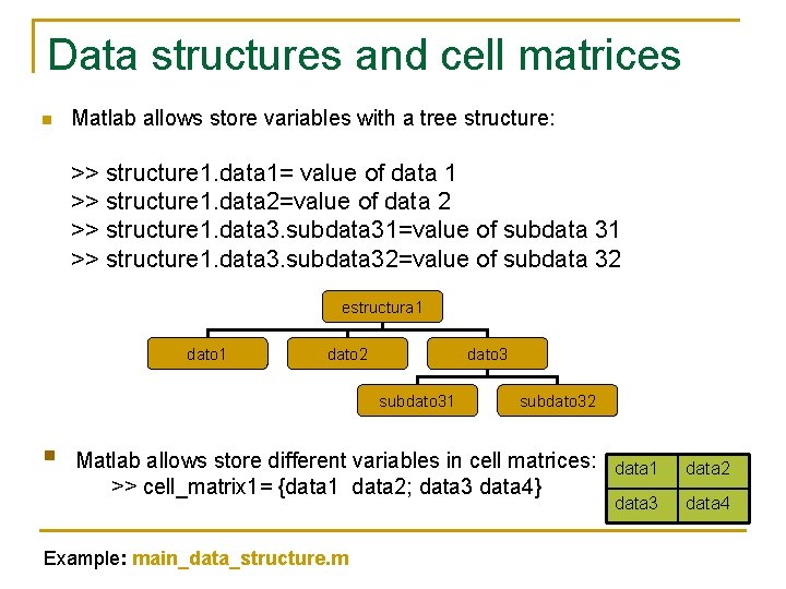 Data structures and cell matrices n Matlab allows store variables with a tree structure: Data structures and cell matrices n Matlab allows store variables with a tree structure: