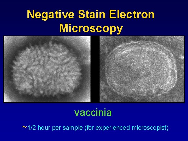 Negative Stain Electron Microscopy vaccinia ~1/2 hour per sample (for experienced microscopist) 