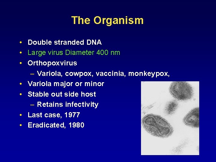 The Organism • Double stranded DNA • Large virus Diameter 400 nm • Orthopoxvirus