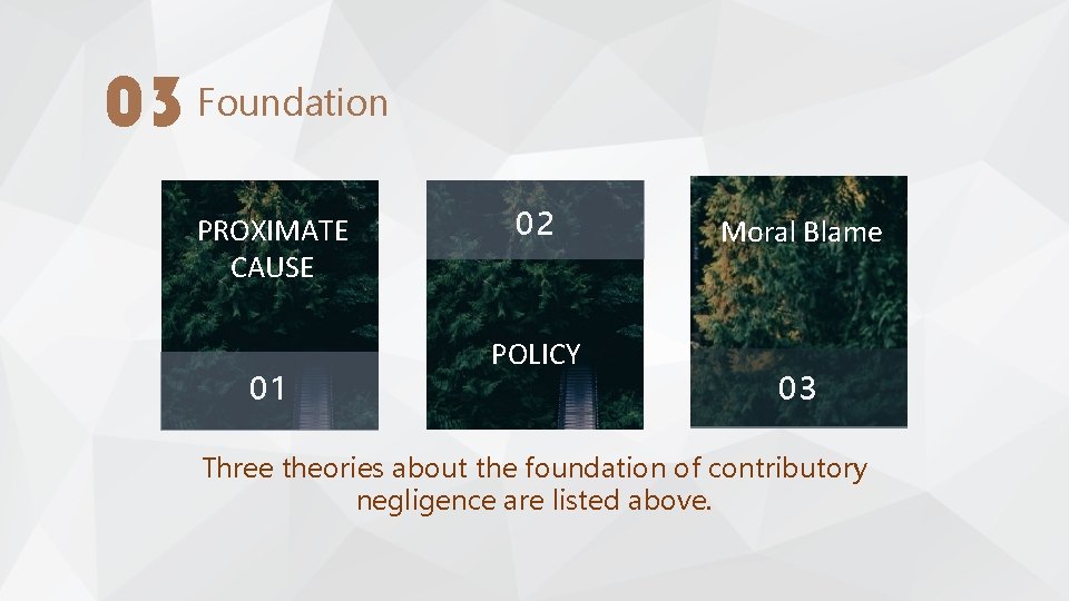 03 Foundation PROXIMATE CAUSE 01 02 02 POLICY Moral Blame 03 Three theories about