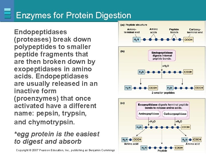 POWERPOINT LECTURE SLIDE PRESENTATION by LYNN CIALDELLA MBA
