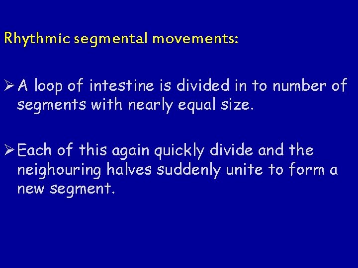 Rhythmic segmental movements: Ø A loop of intestine is divided in to number of
