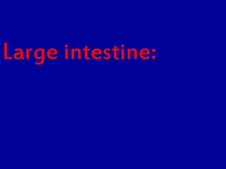 Large intestine: Large intestine: