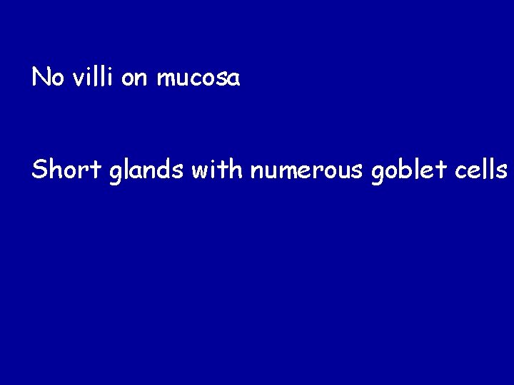 No villi on mucosa Short glands with numerous goblet cells No villi on mucosa Short glands with numerous goblet cells