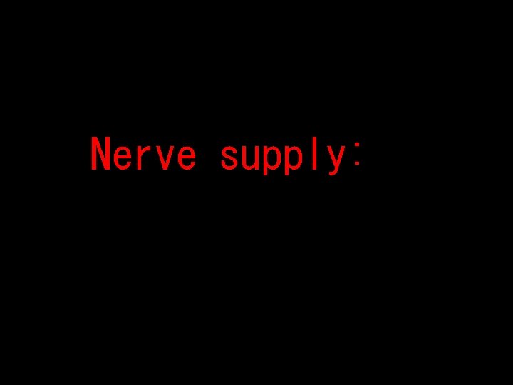 Nerve supply: 