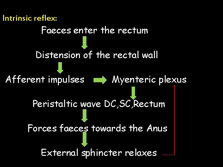 Intrinsic reflex: Faeces enter the rectum Distension of the rectal wall Afferent impulses Myenteric Intrinsic reflex: Faeces enter the rectum Distension of the rectal wall Afferent impulses Myenteric