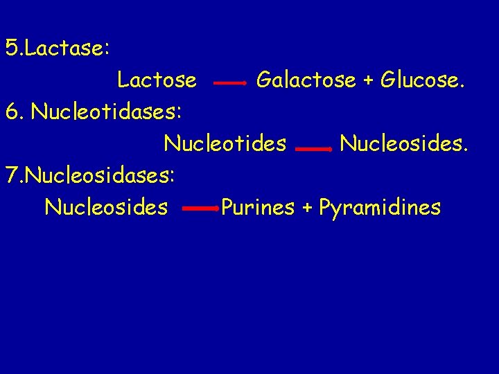 5. Lactase: Lactose Galactose + Glucose. 6. Nucleotidases: Nucleotides Nucleosides. 7. Nucleosidases: Nucleosides Purines 5. Lactase: Lactose Galactose + Glucose. 6. Nucleotidases: Nucleotides Nucleosides. 7. Nucleosidases: Nucleosides Purines