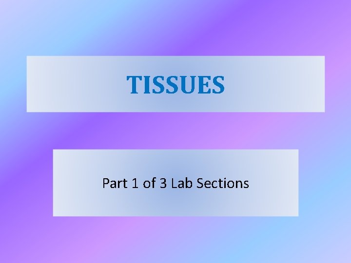 TISSUES Part 1 of 3 Lab Sections TISSUES Part 1 of 3 Lab Sections