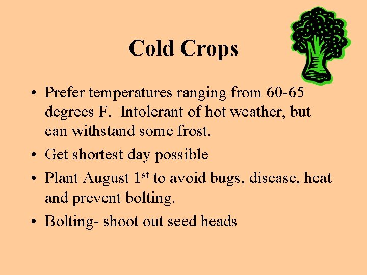 Cold Crops • Prefer temperatures ranging from 60 -65 degrees F. Intolerant of hot