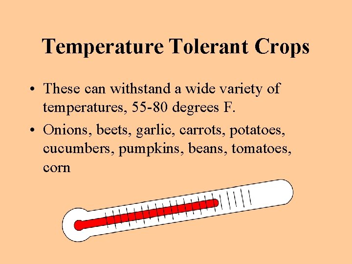 Temperature Tolerant Crops • These can withstand a wide variety of temperatures, 55 -80