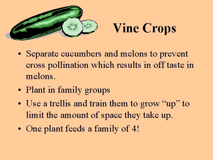 Vine Crops • Separate cucumbers and melons to prevent cross pollination which results in