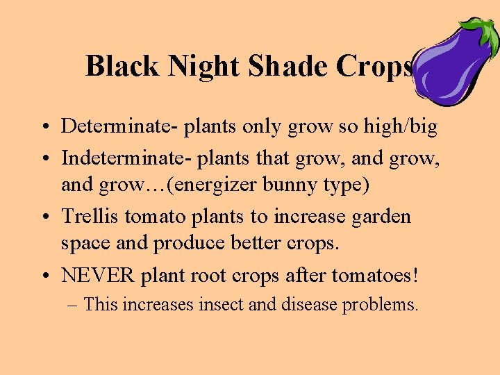 Black Night Shade Crops • Determinate- plants only grow so high/big • Indeterminate- plants