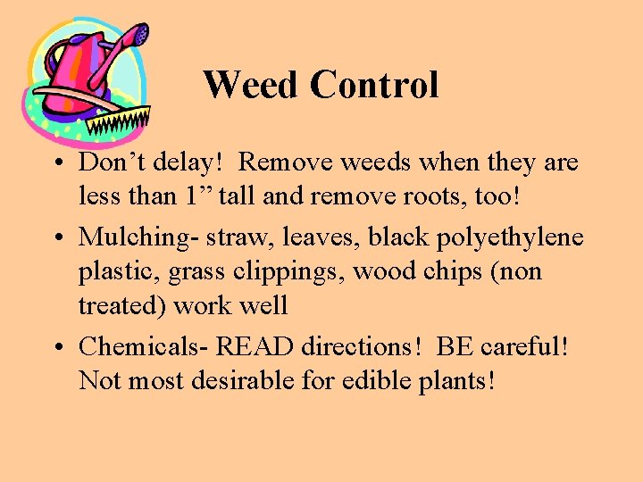 Weed Control • Don’t delay! Remove weeds when they are less than 1” tall