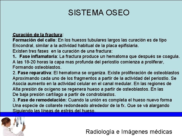 SISTEMA OSEO Curación de la fractura: Formación del callo: En los huesos tubulares largos