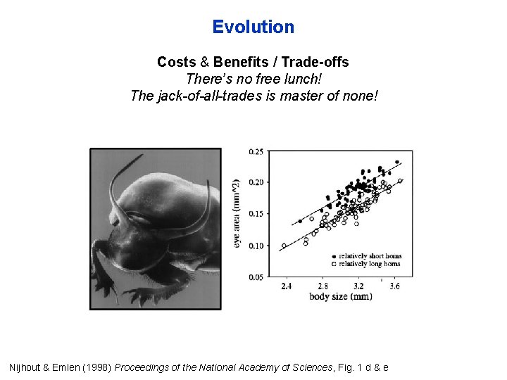 Evolution Costs & Benefits / Trade-offs There’s no free lunch! The jack-of-all-trades is master