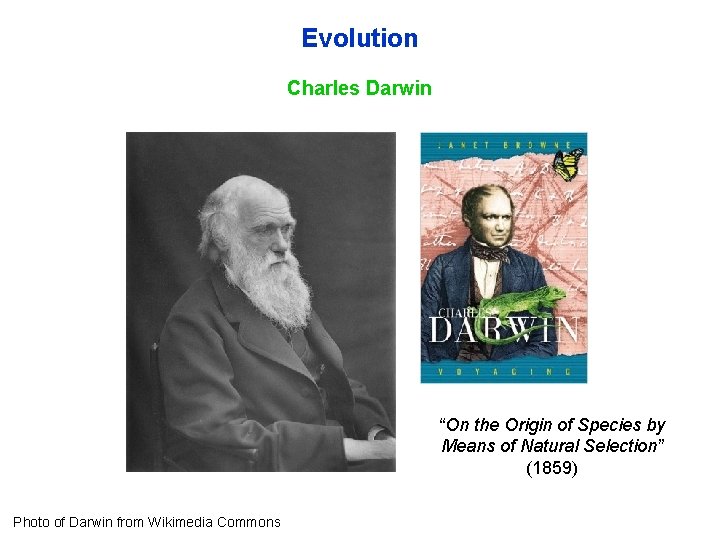 Evolution Charles Darwin “On the Origin of Species by Means of Natural Selection” (1859)